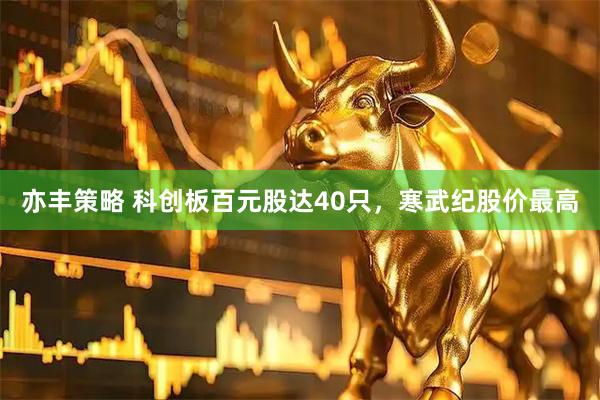 亦丰策略 科创板百元股达40只，寒武纪股价最高