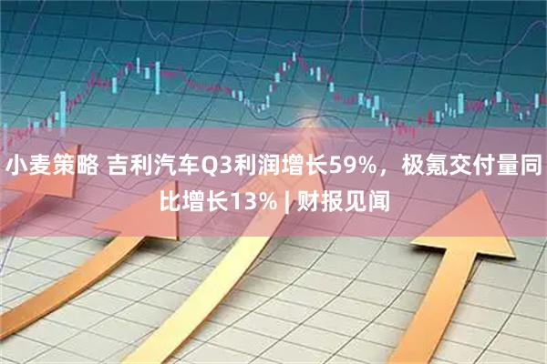 小麦策略 吉利汽车Q3利润增长59%,极氪交付量同比增长13% | 财报见闻
